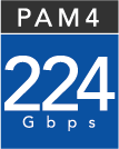 224 Gbps